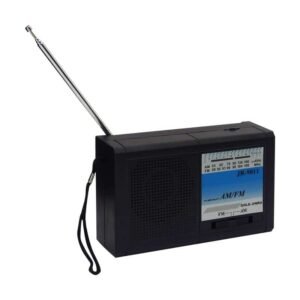 Radio Am Fm Gold Jr-9011