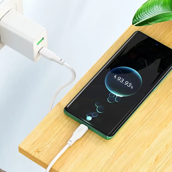 Cable Usb c a Tipo C 2 Mt. 60W Hoco X93
