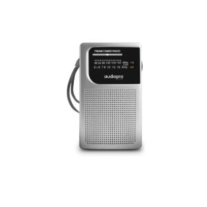 Radio Fm Portatil AudioPro