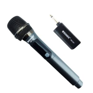 Microfono Inalambrico Recargable DM-881